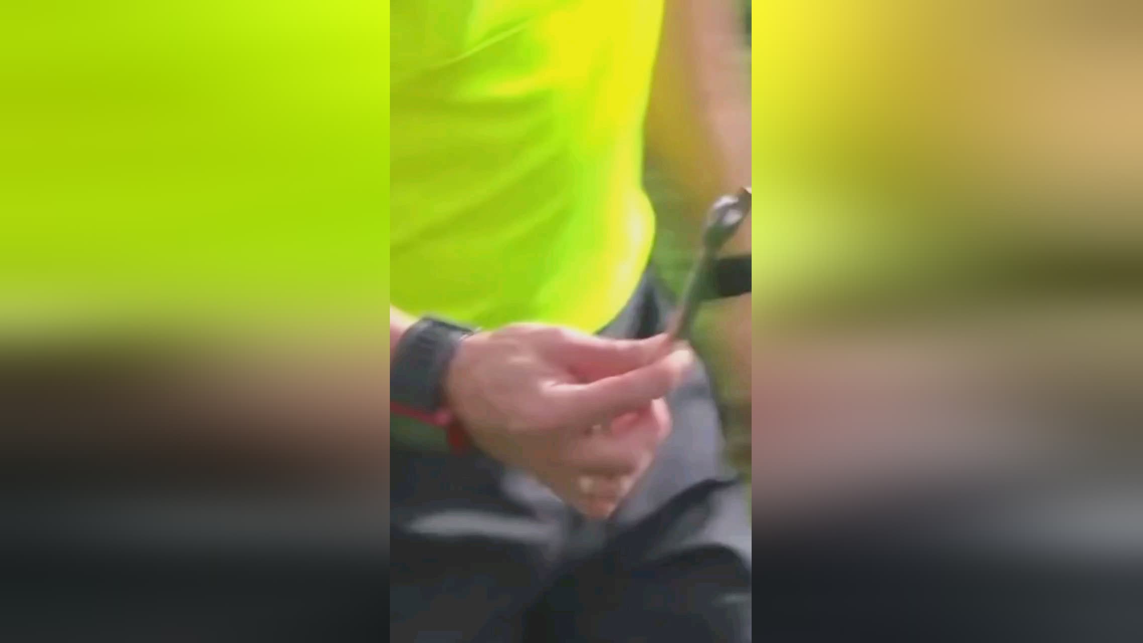 动了他